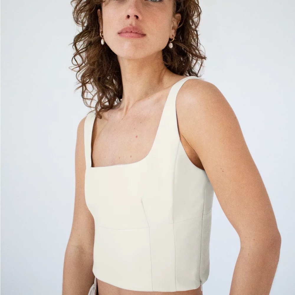 Aritzia Wilfred Shine Bustier, Birch Size M